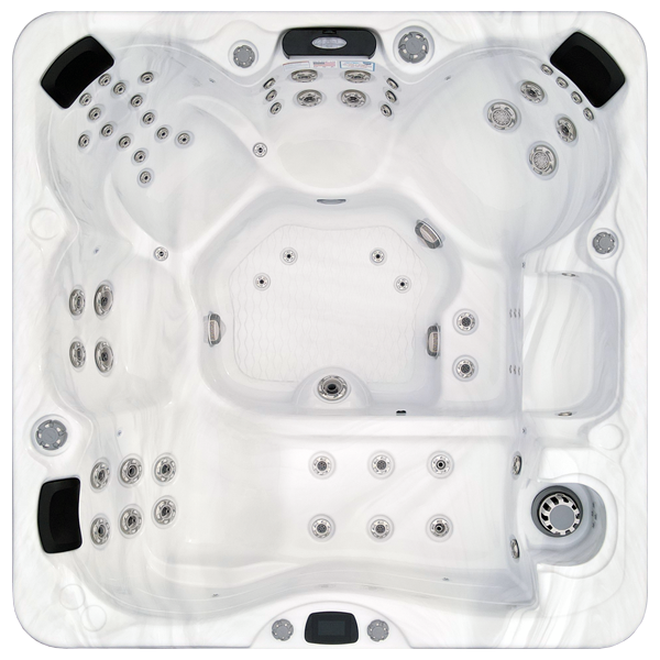 Avalon-X EC-867LX hot tubs for sale in Gilroy